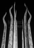 Vertical The Top of the Sticks of Fire Sculpture in Plant Park black and white Photos