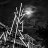 Square The Tampa Bay Lightening Bolts black and white Photos