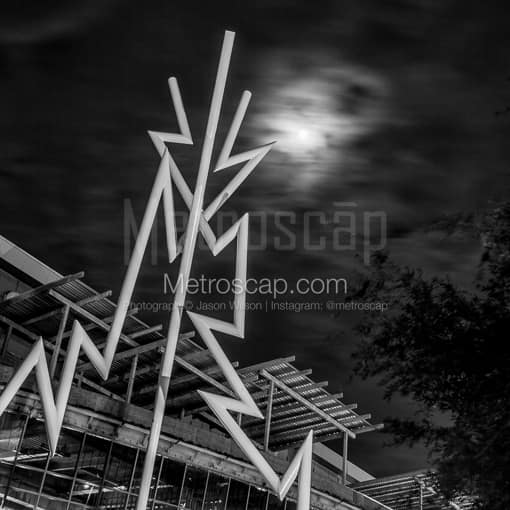 The Tampa Bay Lightening Bolts -- Tampa Black and White Photos