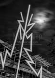Vertical The Tampa Bay Lightening Bolts black and white Photos