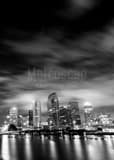Vertical The Tampa Skyline at Night black and white Photos