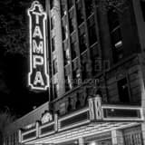 Square The Tampa Theater off of Franklin Street landscape black and white Photography