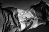 Horizontal The City of Toledo Flag Waves in the Wind black and white Pictures