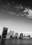 Vertical The Downton Toledo Skyline on an Early February Morning black and white Pictures