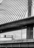 Vertical Under the Veterans Glass Skyway Bridge black and white Pictures
