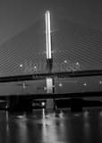 Vertical The Glass City Skyway Bridge black and white Pictures