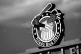 Horizontal The Toledo Mud Hens Sign black and white Pictures