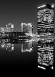 Vertical The Fifth Third Center at One Seagate at Night black and white Pictures