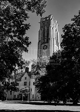 Vertical University Hall Utoledo black and white