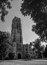 University Of Toledo Black and White Vertical University Of Toledo black and white