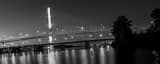 Panoramic The Veterans Glass City Skyway Bridge Photography