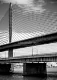 Vertical The Sole Pylon of the Veterans Glass Skyway Bridge black and white Photography