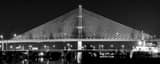 Panoramic The Toledo Veterans Glass Skyway Bridge at Night Framed Photos