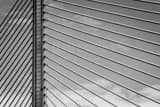 Horizontal Support Cables on the Veterans Glass Skyway Bridge black and white Pictures
