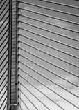 Vertical Support Cables on the Veterans Glass Skyway Bridge black and white Pictures