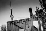 Horizontal The Canada Malting Factory and CN Tower black and white Photography