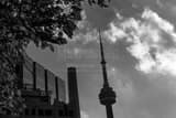 Horizontal The CN Tower from University Avenue black and white Photographs