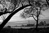 Horizontal Toronto from Wards Island black and white Photography
