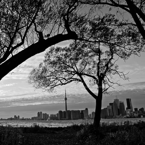 Toronto from Wards Island -- Toronto Black and White Photography