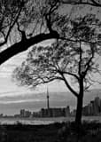 Vertical Toronto from Wards Island black and white Photography