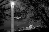 Horizontal The Toronto Skyline at Night Framed Photos