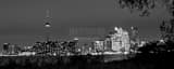 Panoramic The Toronto Skyline at Night black and white Photography