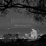 Square The Toronto Skyline at Night black and white Photography