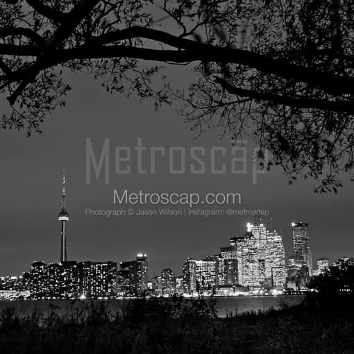 The Toronto Skyline at Night -- Toronto Black and White Photography