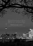 Vertical The Toronto Skyline at Night black and white Photography
