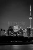 Vertical The Toronto Skyline Framed Photos