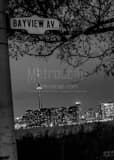 Vertical The Toronto Skyline from Bayview Ave on Wards Island black and white Photography