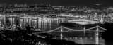 Panoramic The Vancouver Harbor and Skyline at Night black and white Photos