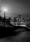 Vertical The Vancouver Skyline from Charleston Park black and white Photos