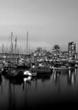 Vertical Sailboats Docked on False Creek in Downtown Vancouver black and white Photos