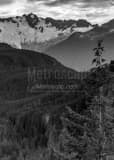 Vertical The Serratus Mountain Range North of Squamish black and white Photos