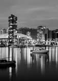 Vertical The Vancouver Skyline Looking Toward Yaletown black and white Photos