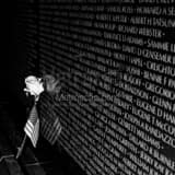 Square A Rose and American Flag Leans Against the Vietnam Wall black and white Photos