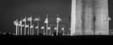 Panoramic United States Flags Surround the Washington Monument black and white Photos