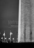 Vertical United States Flags Surround the Washington Monument black and white Photos