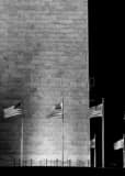 Vertical The US Flags at the Base of the Washington Monument black and white Photos