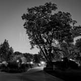 Square A Walking Path around the US Capitol Building black and white Photos