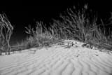 Horizontal Sand Dunes in White Sands National Park black and white Photos