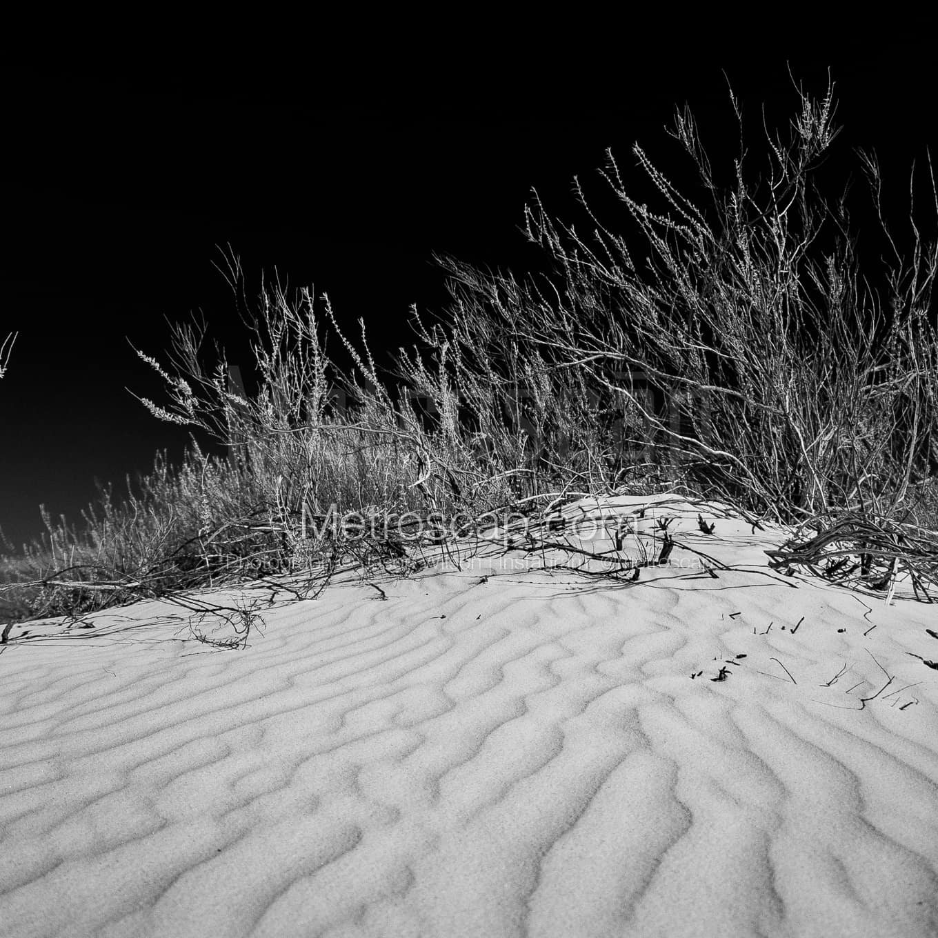 Sand Dunes in White Sands National Park black and white Photos Sand Dunes in White Sands National Park black and white Photos square crop