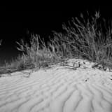 Square Sand Dunes in White Sands National Park black and white Photos
