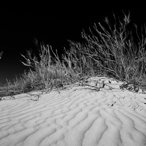 Matte Black WOOD Framed Black and White White Sands Photograph: Sand Dunes in White Sands National Park in a Square Matte Black Wood Frame