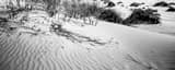 Panoramic White Gypsum Sand Dunes in White Sands New Mexico black and white Photos