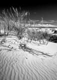 Vertical White Gypsum Sand Dunes in White Sands New Mexico black and white Photos