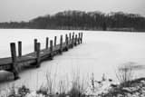 Horizontal Newport Lake in Mill Creek Park in Winter landscape black and white Photography
