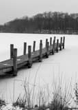 Vertical Newport Lake in Mill Creek Park in Winter landscape black and white Photography