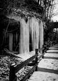 Vertical The Walkway near Lantermans Mill landscape black and white Photography